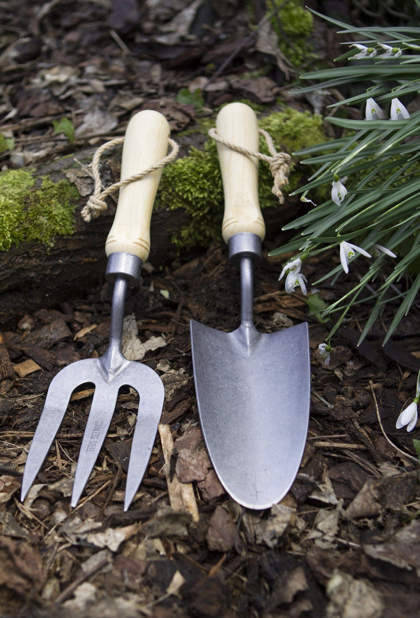 Darlac DP2540 Bamboo Garden Trowel UK SHIPPING ONLY