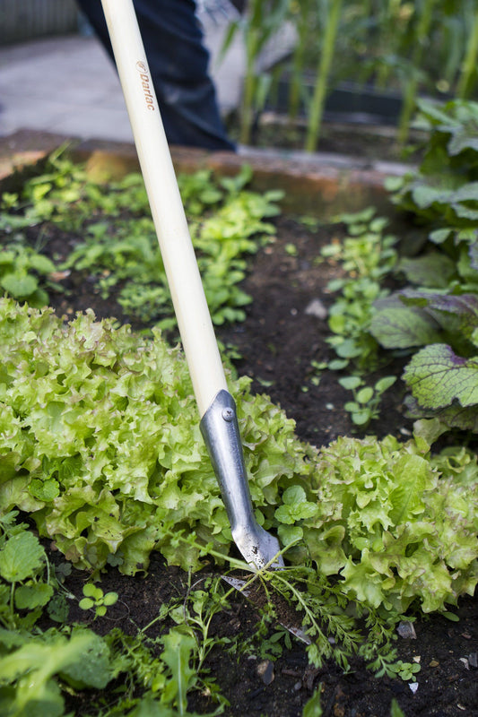 Darlac DP2591 Weeding Spear Hoe Long Handle UK SHIPPING ONLY
