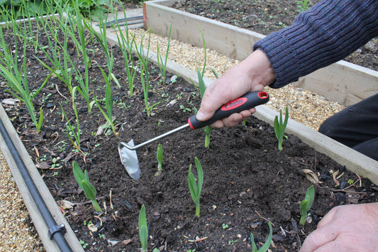 Darlac DP546 Onion Hoe UK SHIPPING ONLY