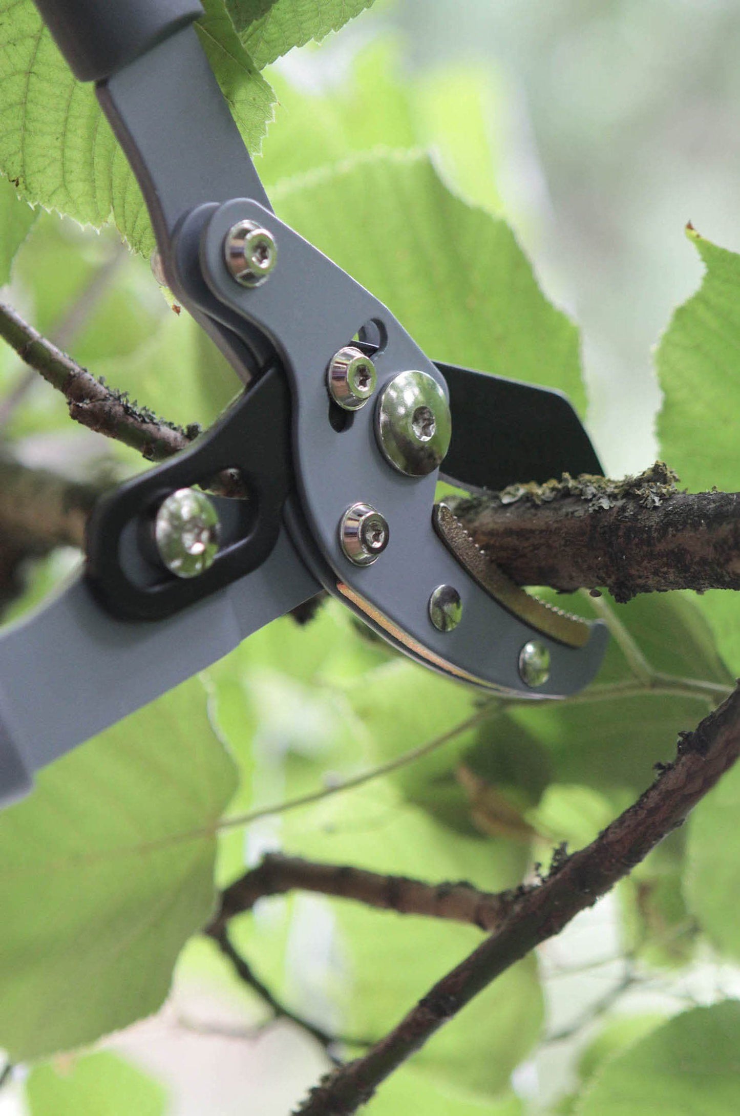 Darlac DP623 Compact Compound Anvil Lopper UK SHIPPING ONLY