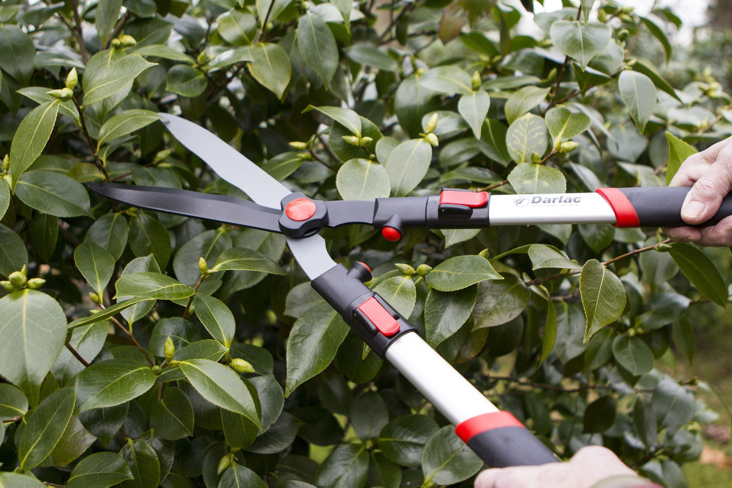 Darlac DP810 F/L Telescopic Hedge Shear UK SHIPPING ONLY