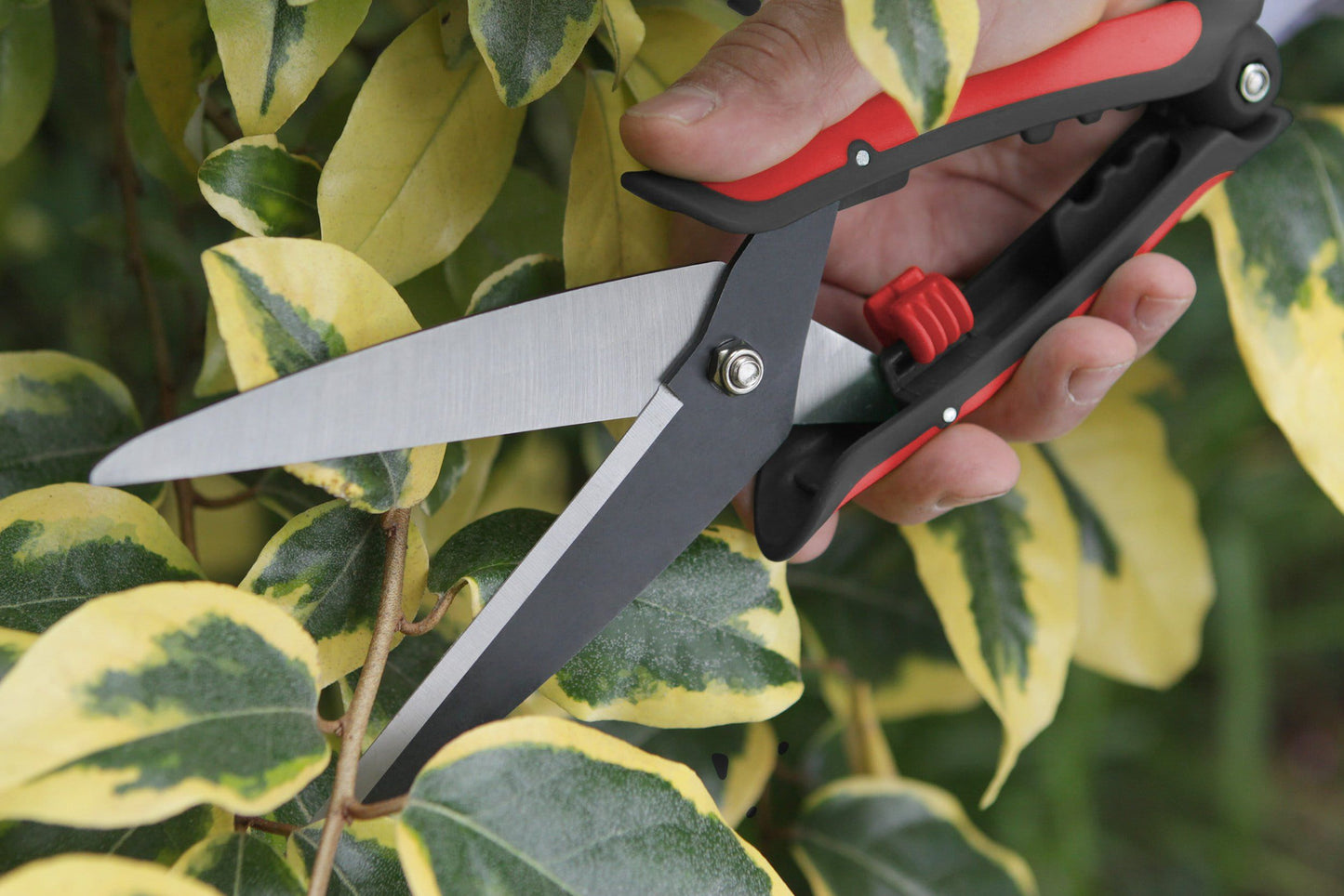 Darlac DP866 Hand Trimming Shear UK SHIPPING ONLY