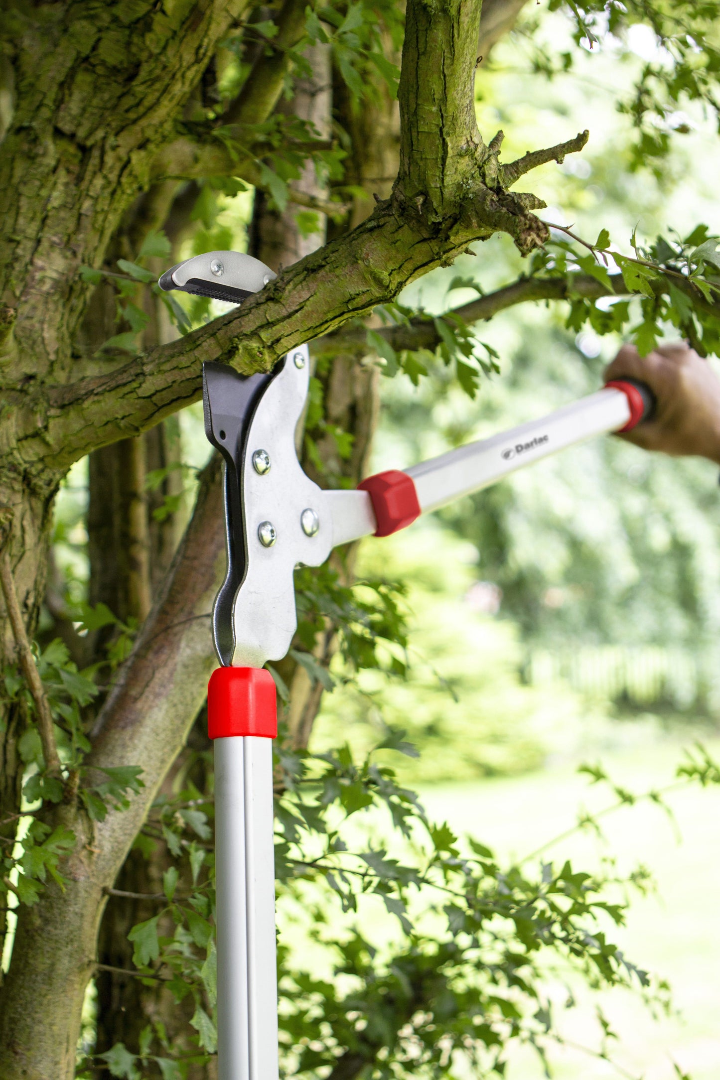 Darlac DP975 H.D. Geared Anvil Lopper UK SHIPPING ONLY