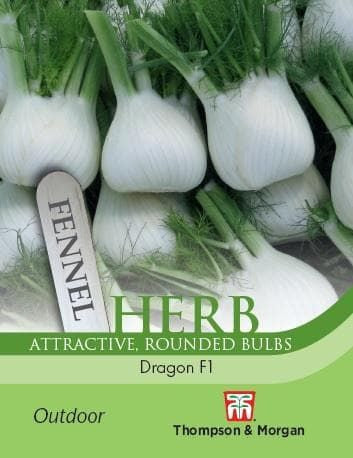 Thompson & Morgan Herb Fennel Dragon F1 Hybrid 35 seed