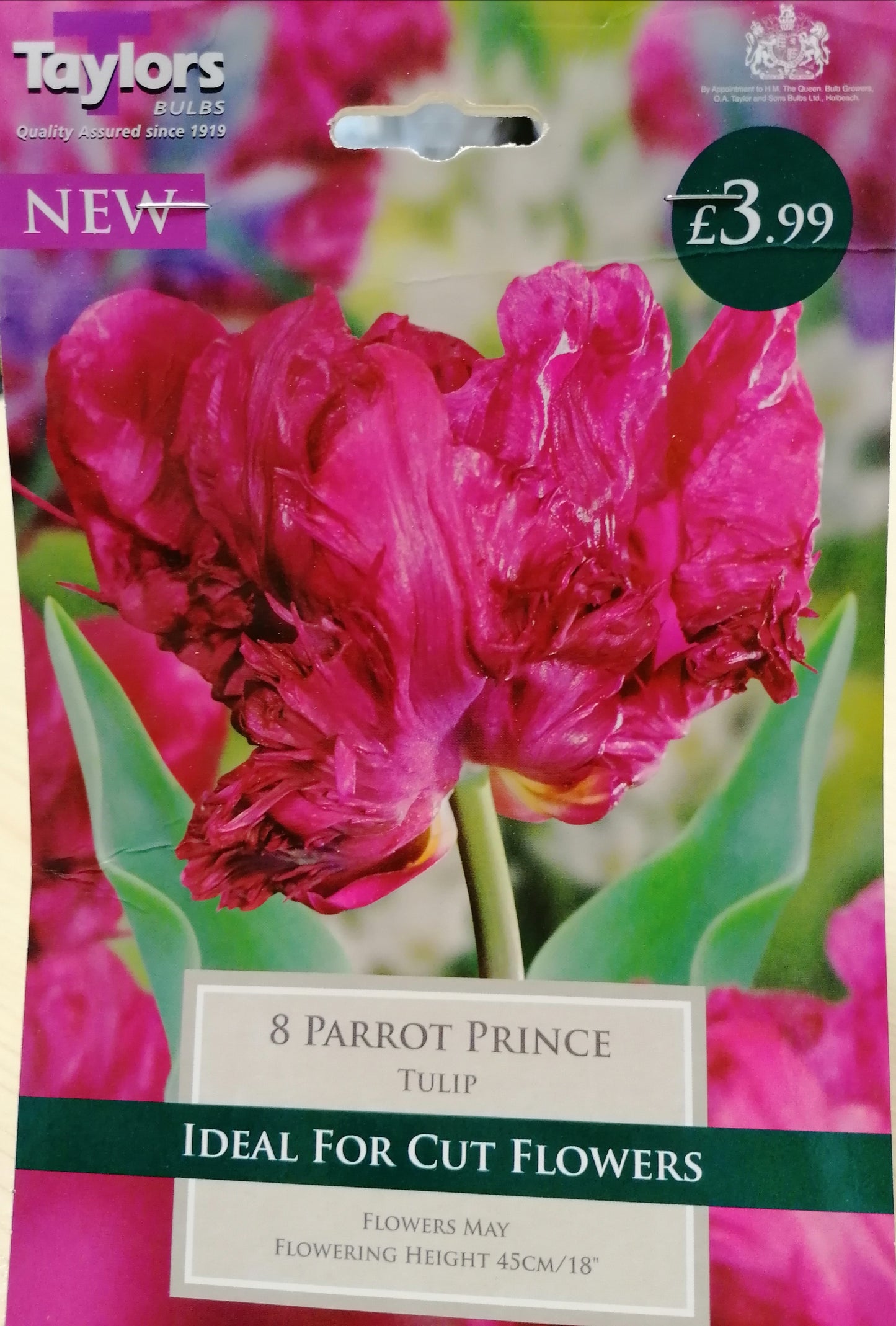 Taylors - Tulip Parrot Prince 11/12cm - 7 Bulbs