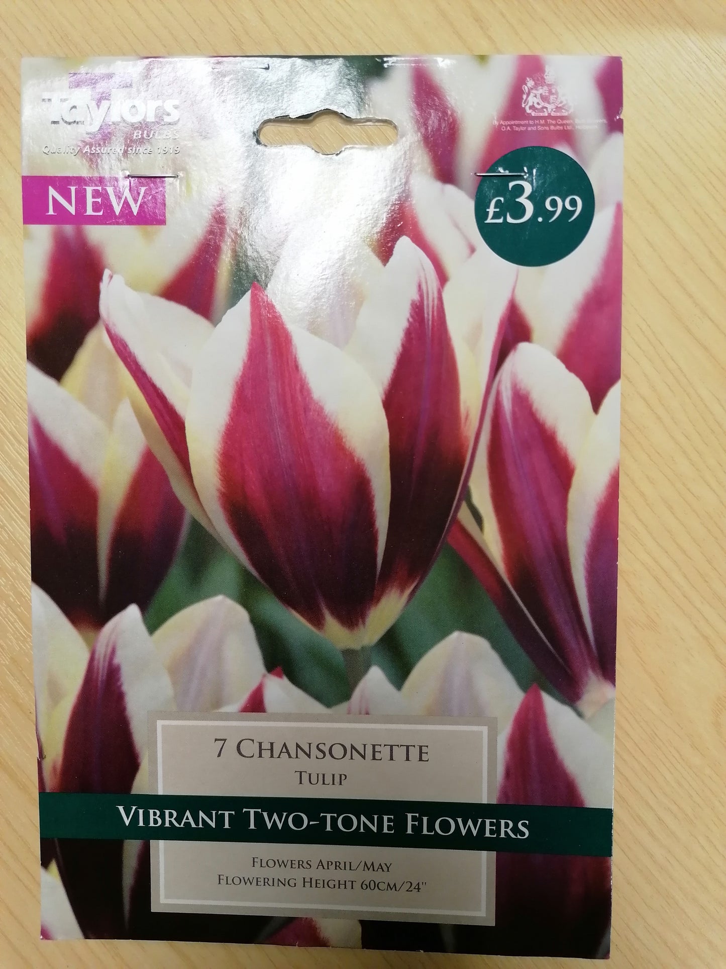 Taylors - Tulip Chansonete - 7 Bulbs