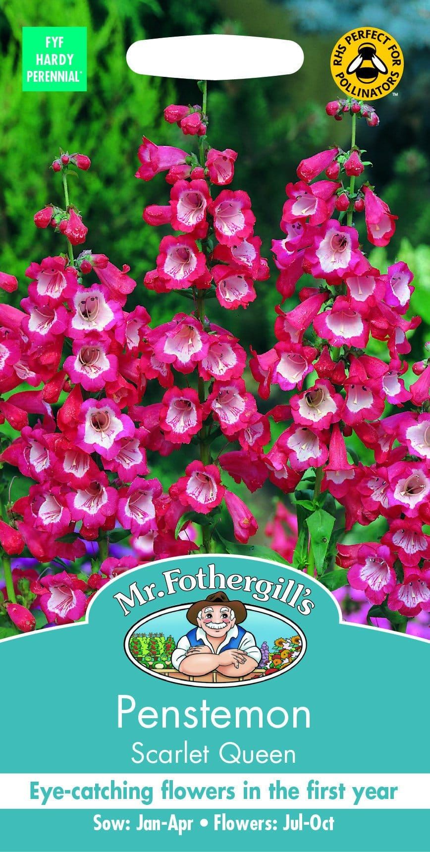 Mr Fothergills Penstemon Scarlet Queen 500 Seeds