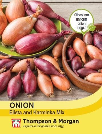 Thompson & Morgan Onion Elisa and Karminka - 180 seed