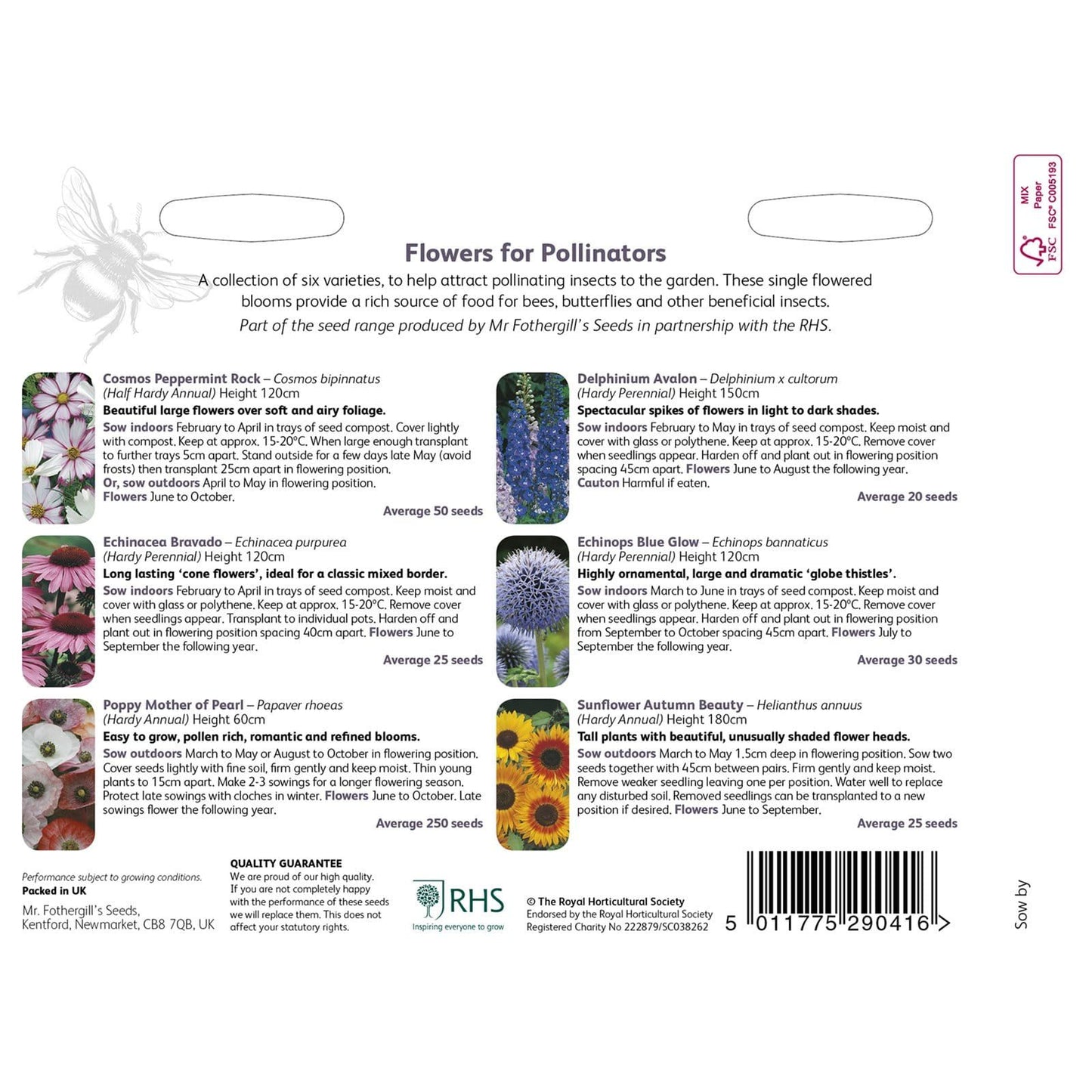 Mr Fothergills RHS Flowers For Pollinators Collection - Seeds