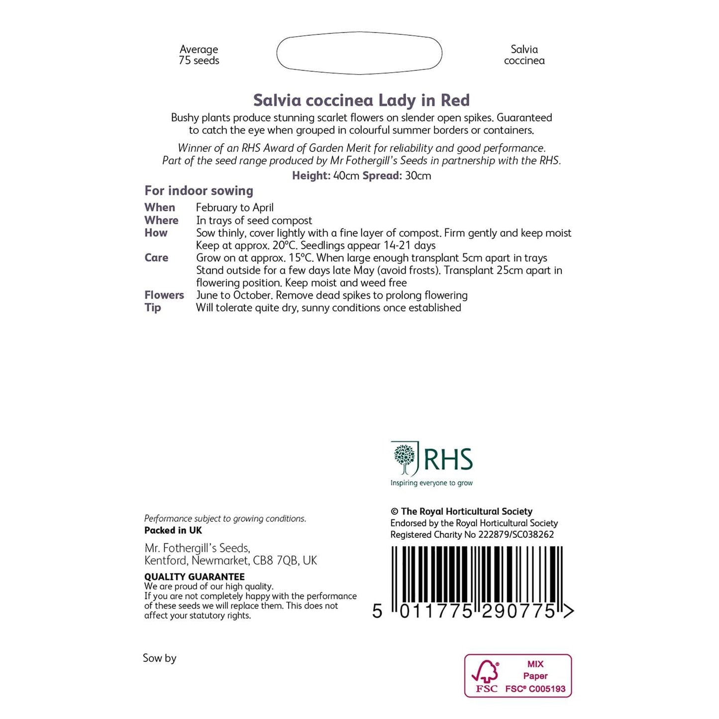 Mr Fothergills RHS Salvia Coccinea Lady In Red 75 Seeds
