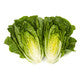 Lettuce Small Green Cos Rafael RZ - LS10489 Seeds