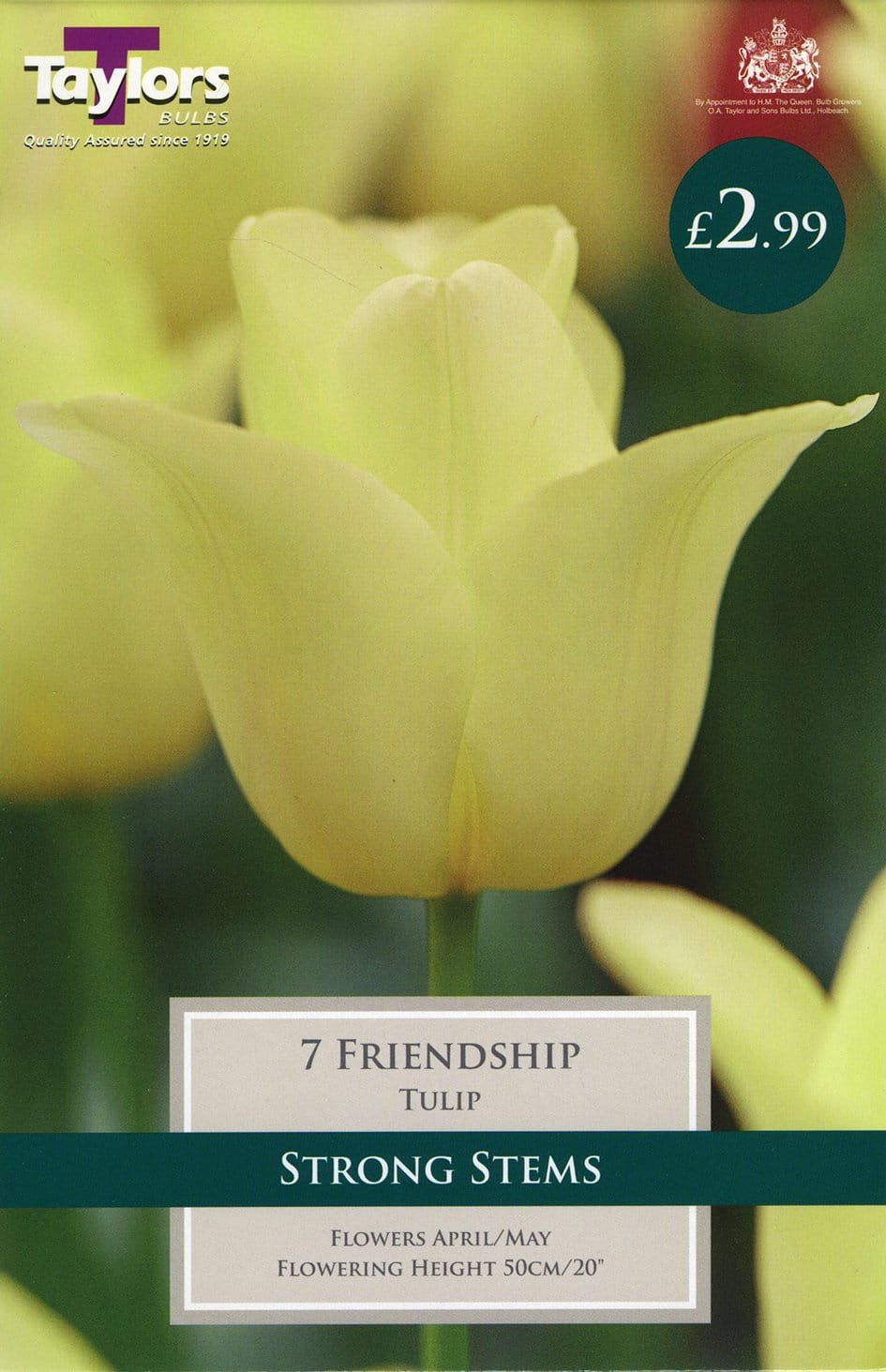 Taylors - Tulip Friendship - 11/12cm - 7 Bulbs