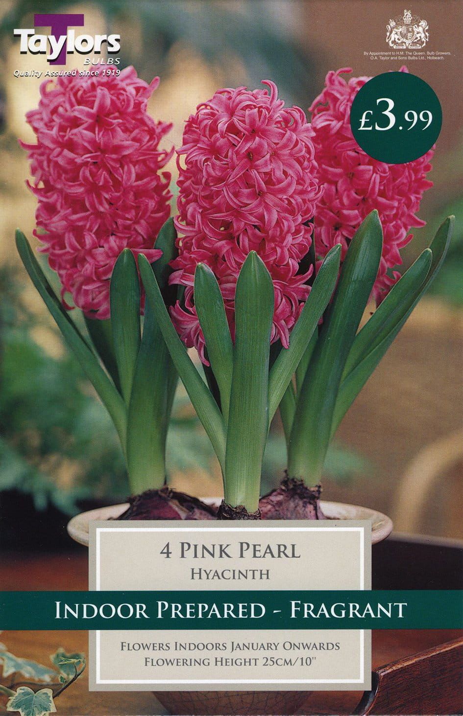 Taylors - Hyacinth Pink Pearl - 3 Indoor Prepared Bulbs - Reduced