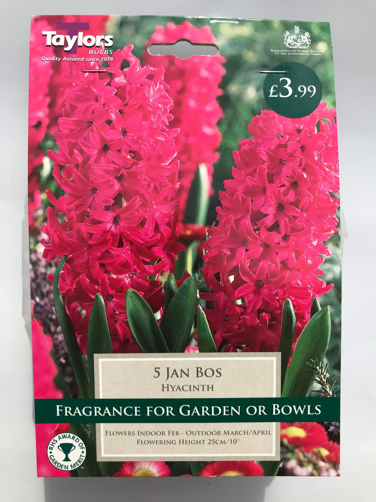 Taylors - Hyacinth Jan Bos - Carmine Red - 5 Bulbs - Reduced