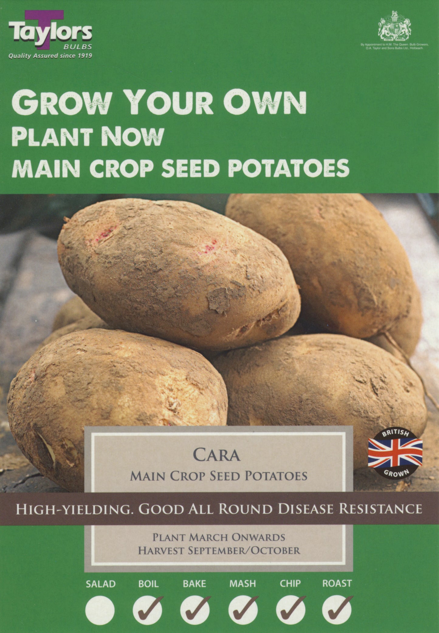 Taylors - Seed Potatoes - Cara - 10 Tubers - Main Crop