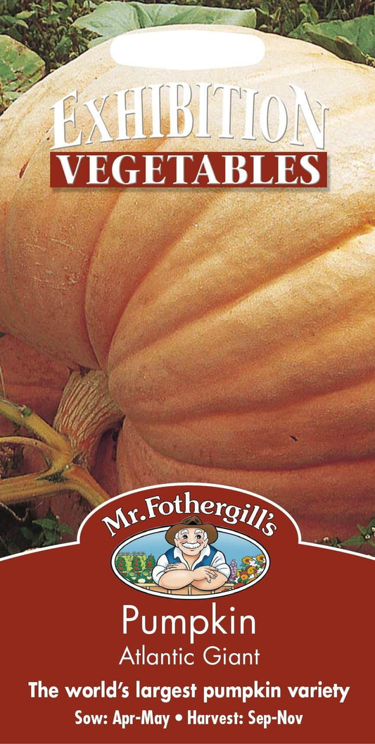 Mr Fothergills Pumpkin Atlantic Giant 10 Seeds