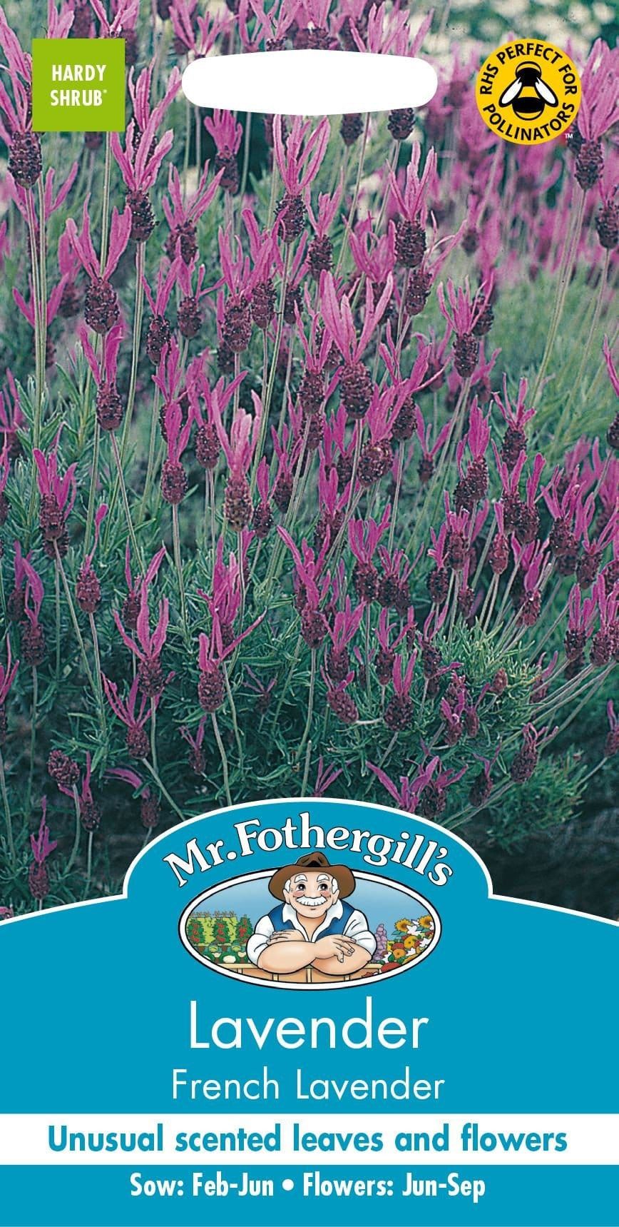 Mr Fothergills Lavender French 35 Seeds