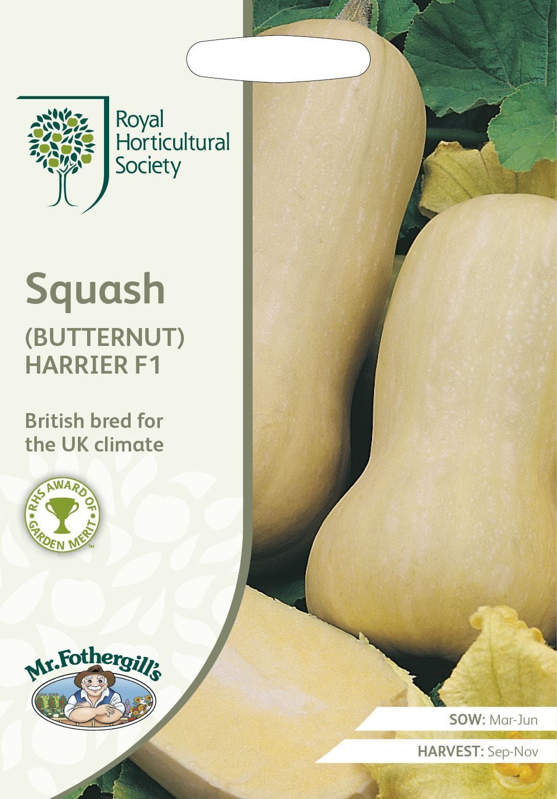 Mr Fothergills RHS Squash (Butternut) Harrier F1 10 Seeds