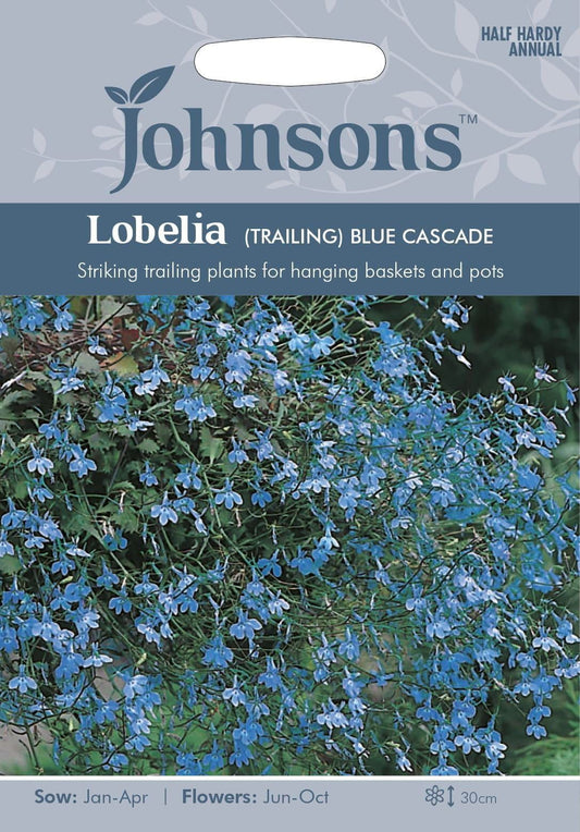 Johnsons Trailing Lobelia Blue Cascade 1500 Seeds