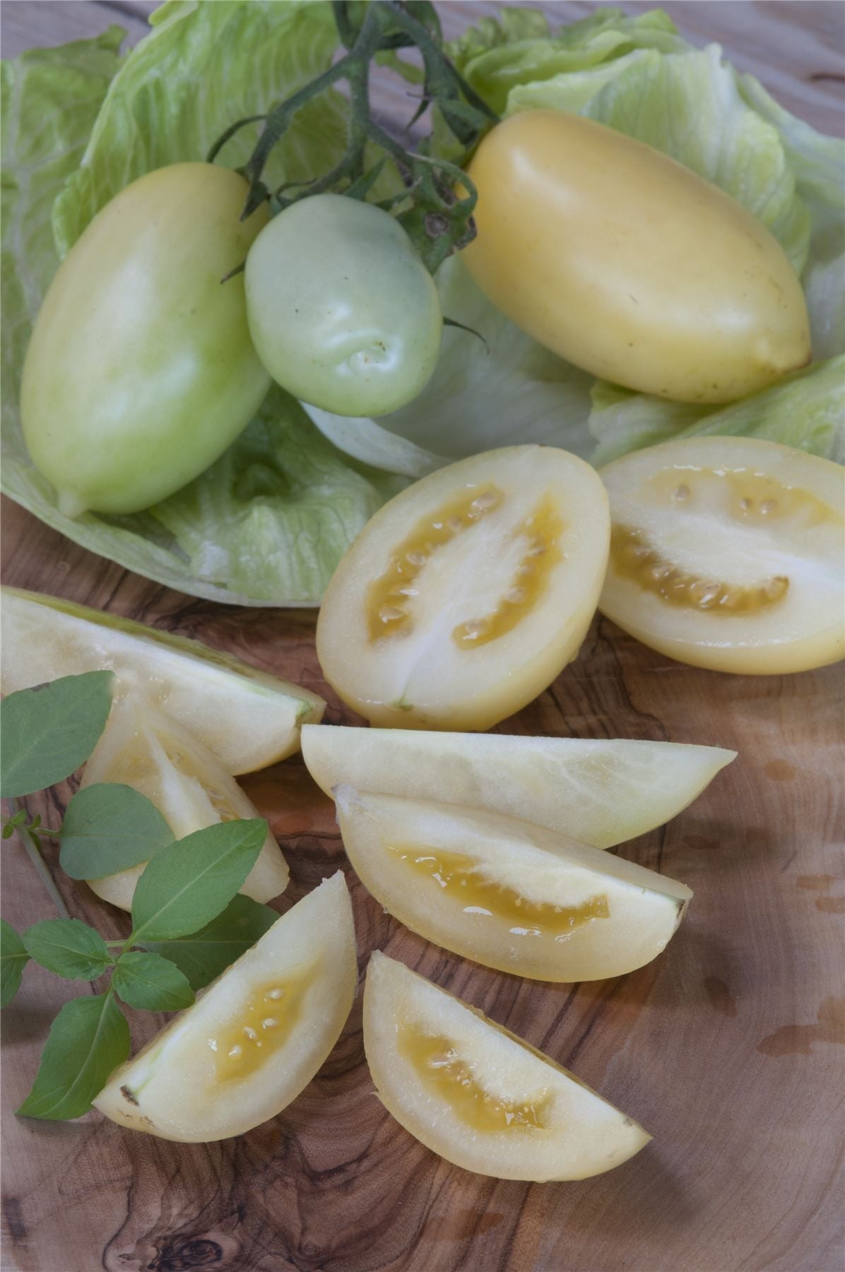 Tomato Cream Sausage Seeds