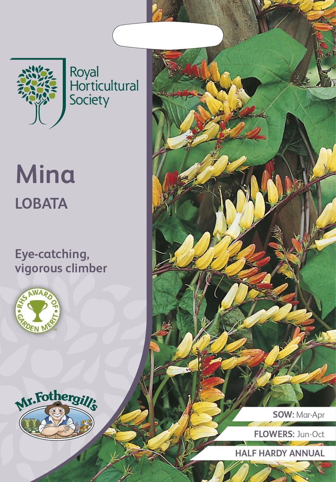 Mr Fothergills RHS Mina Lobata 30 Seeds