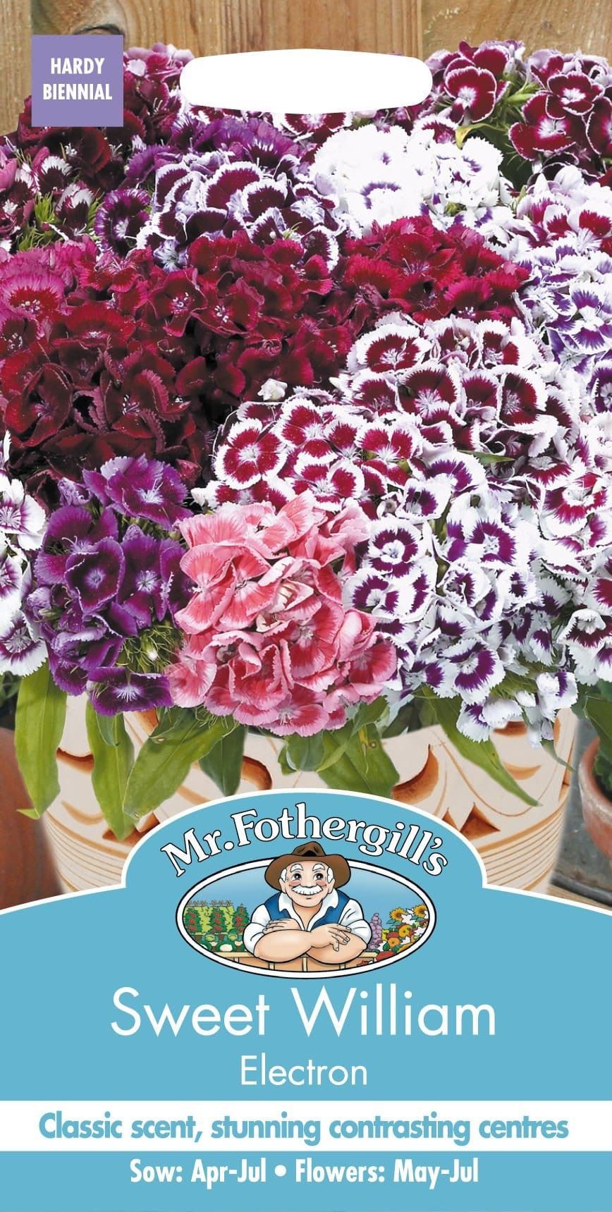 Mr Fothergills Sweet William Electron 200 Seeds