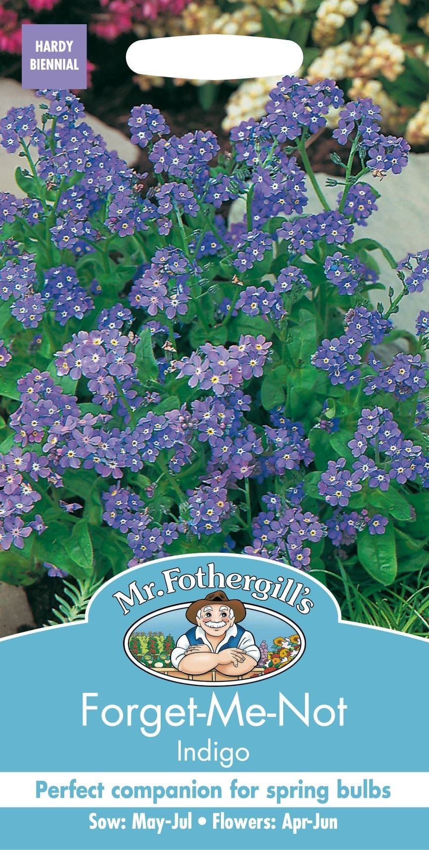 Mr Fothergills Forget Me Not Indigo 300 Seeds