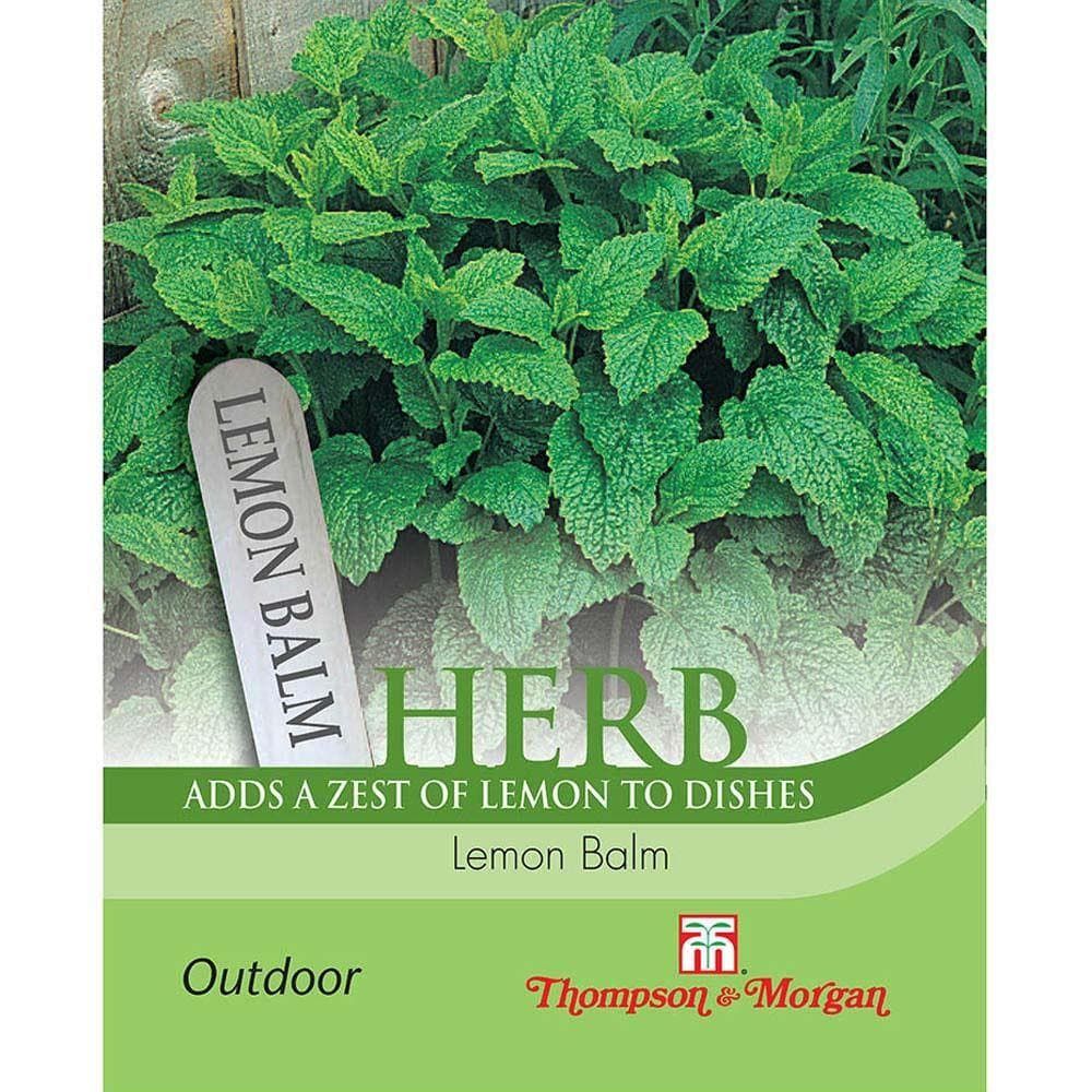 Thompson & Morgan Lemon Balm 500 Seed