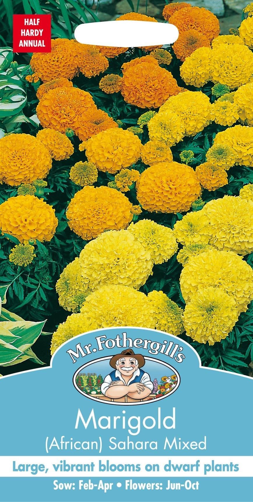 Mr Fothergills African Marigold Sahara Mixed 60 Seeds