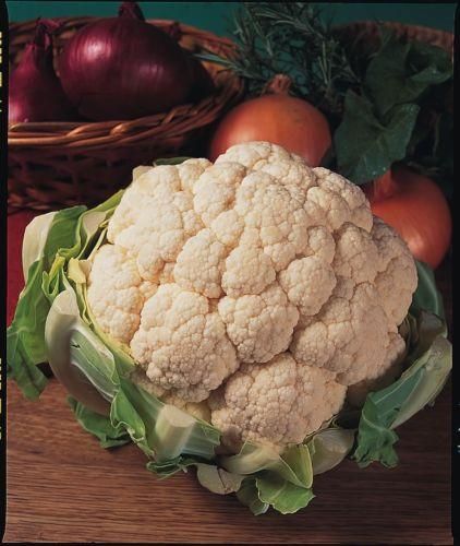 Cauliflower Aalsmeer Seeds