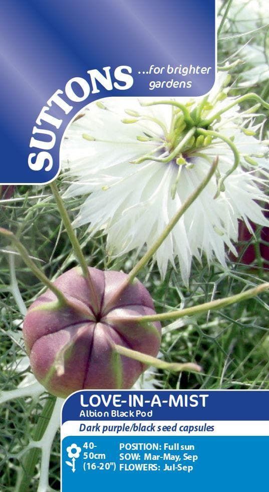 Sutton Seeds - Love-in-a-Mist Seeds - Albion Black Pod