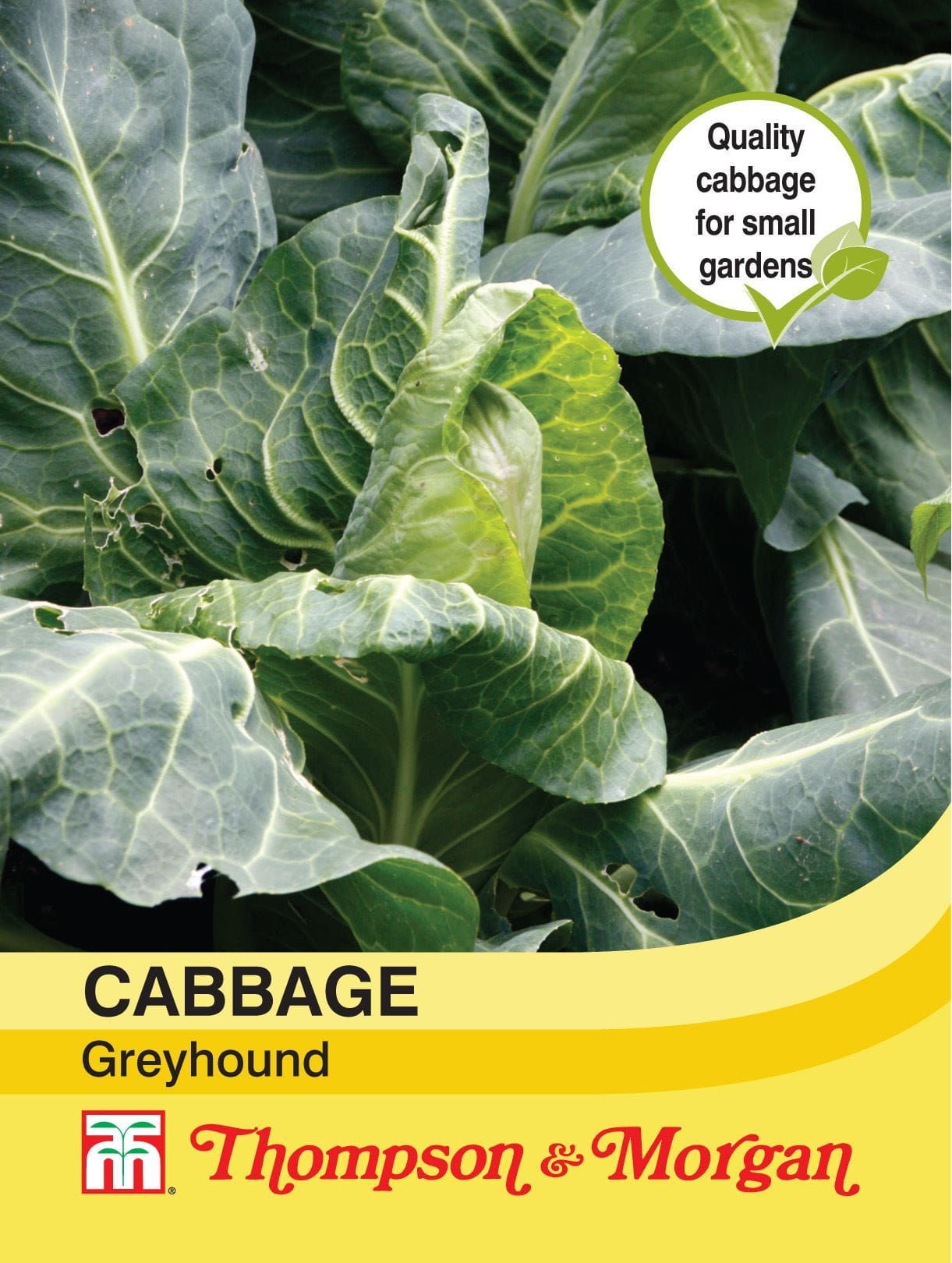 Thompson & Morgan Cabbage Greyhound 300 Seed