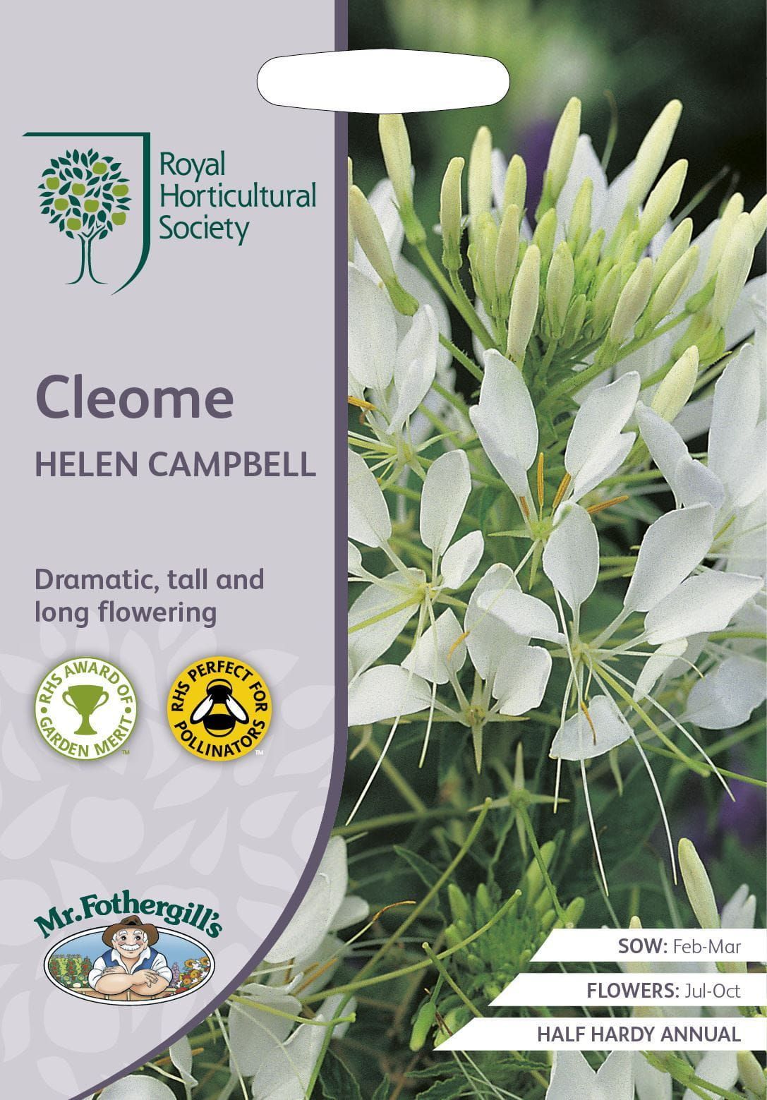 Mr Fothergills RHS Cleome Helen Campbell 250 Seeds