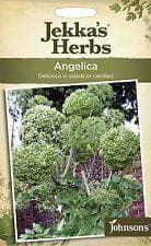 Johnsons Jekka's Herbs Angelica 30 Seeds