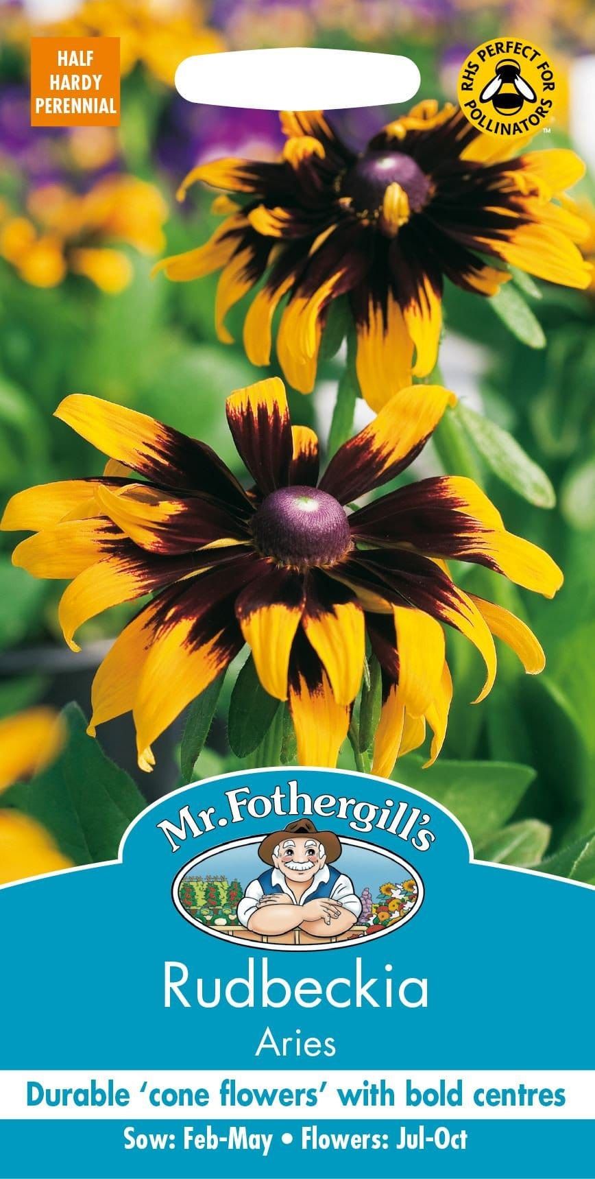 Mr Fothergills Rudbeckia Aries 500 Seeds