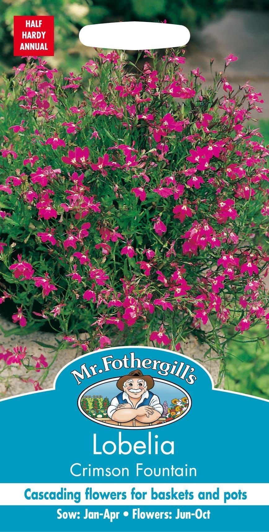 Mr Fothergills Lobelia Crimson Fountain 1500 Seeds