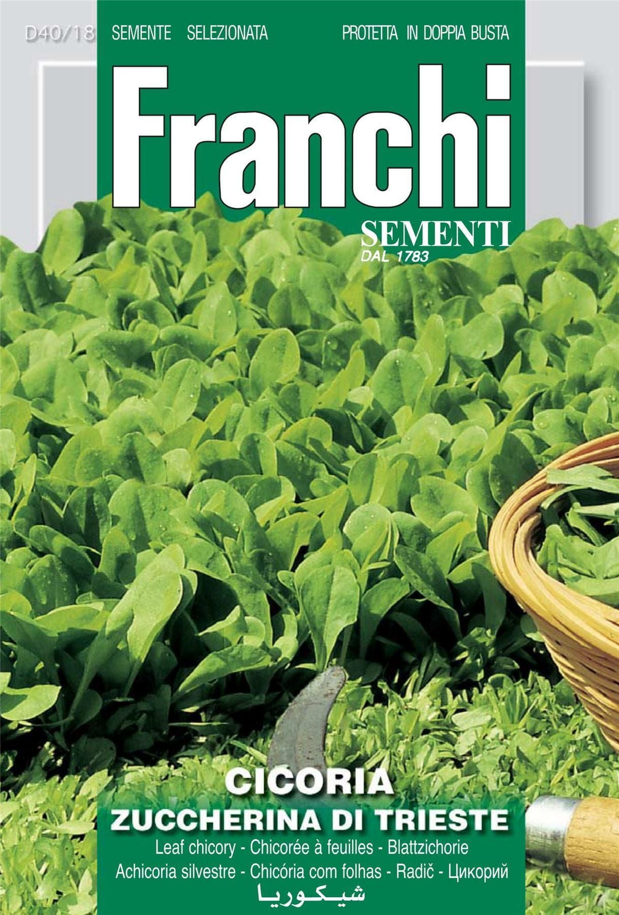 Franchi Seeds of Italy Chicory Zuccherina Di Trieste Seeds
