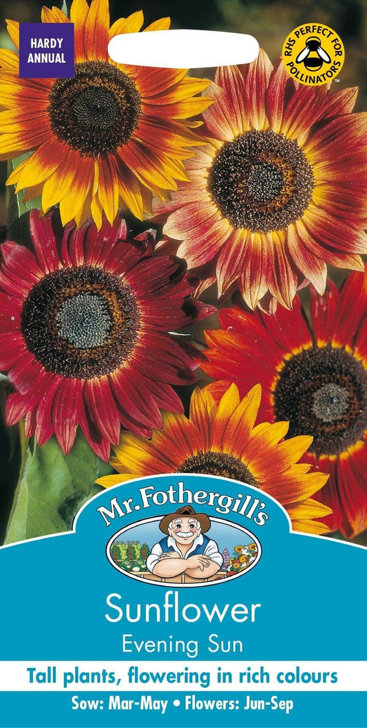 Mr Fothergills Sunflower Evening Sun 50 Seeds