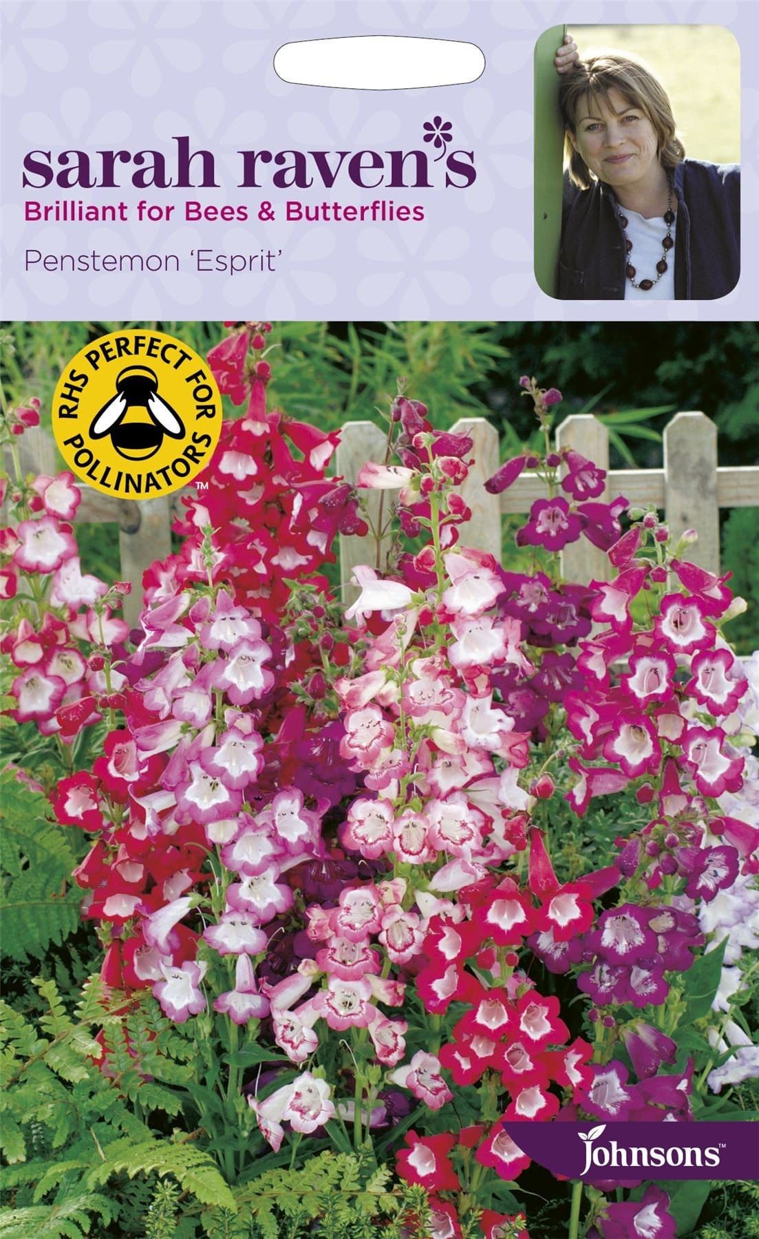Johnsons Sarah Raven's Penstemon Esprit 500 Seeds