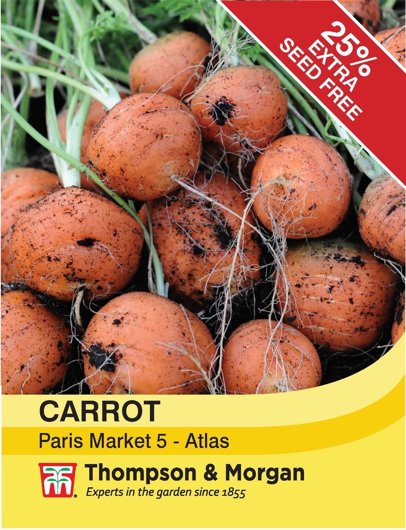Thompson & Morgan - Vegetable - Carrot - Paris Market 5 Atlas - 1000 Seeds