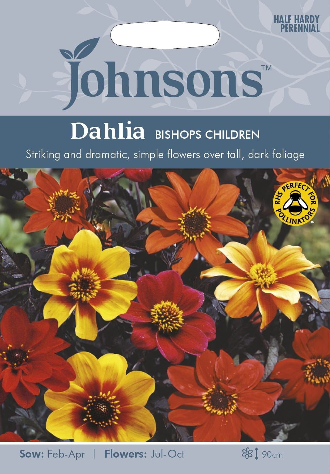 Johnsons Dahlia Bishops Children 40 Seeds