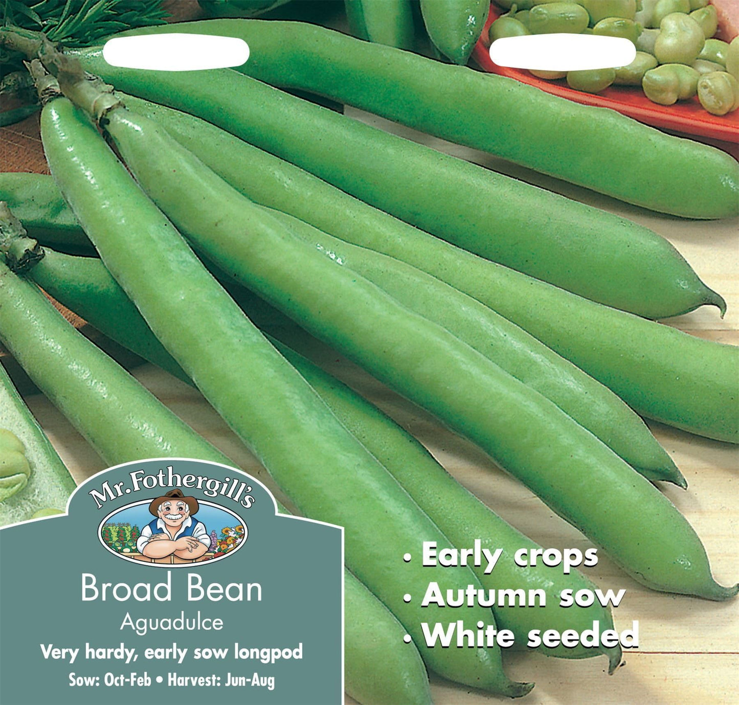 Mr Fothergills Broad Bean Aguadulce 50 Seeds