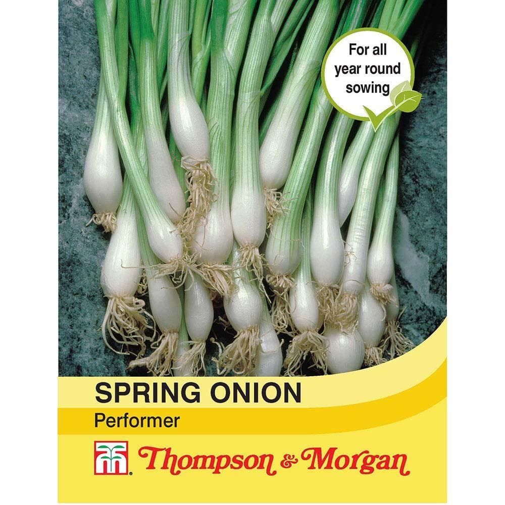 Thompson & Morgan Spring Onion Performer 250 Seed