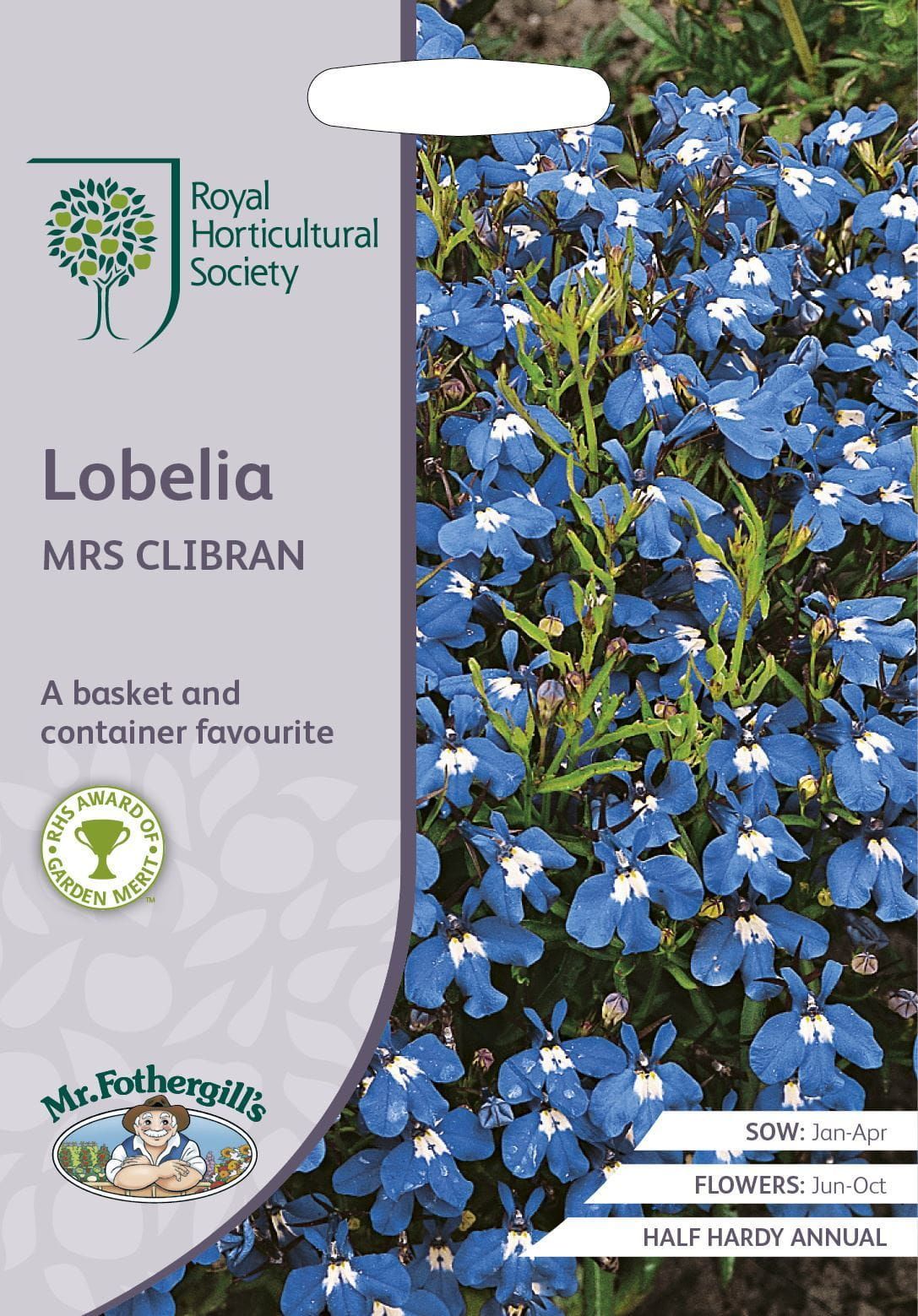 Mr Fothergills RHS Lobelia Mrs Clibran 2500 Seeds