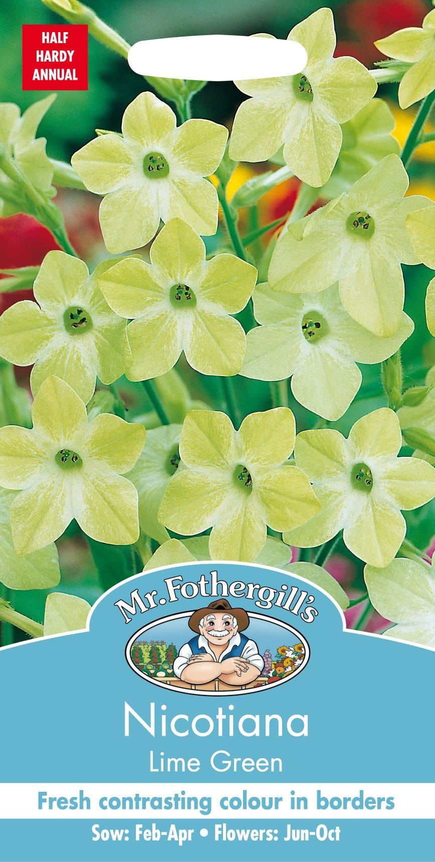 Mr Fothergills Nicotiana Lime Green 1000 Seeds