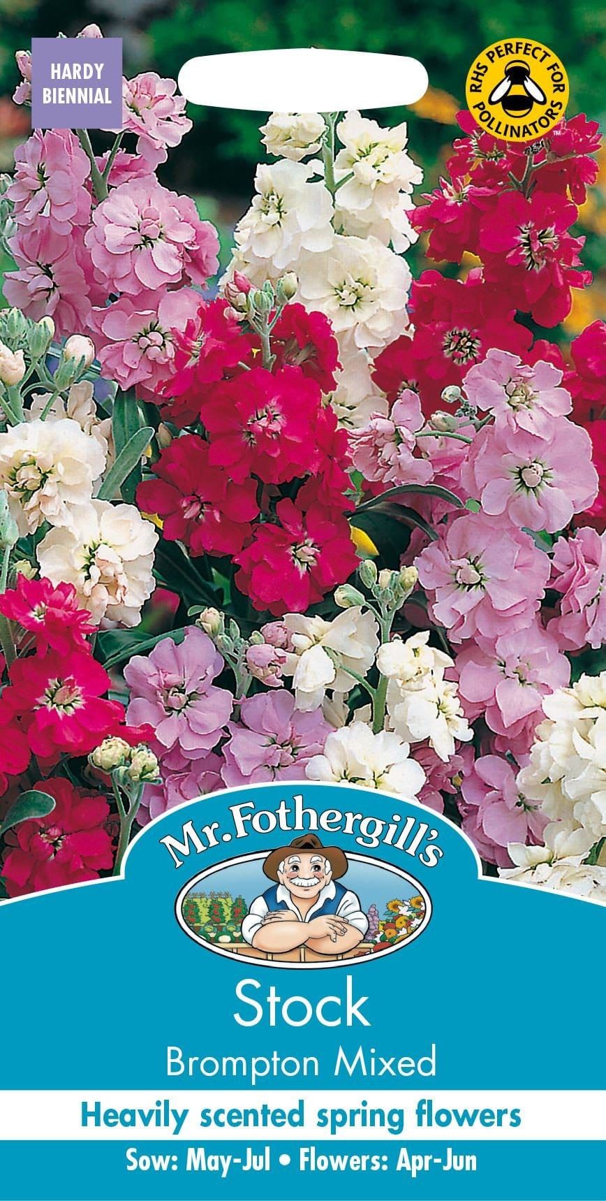 Mr Fothergills Stock Brompton Mixed 150 Seeds