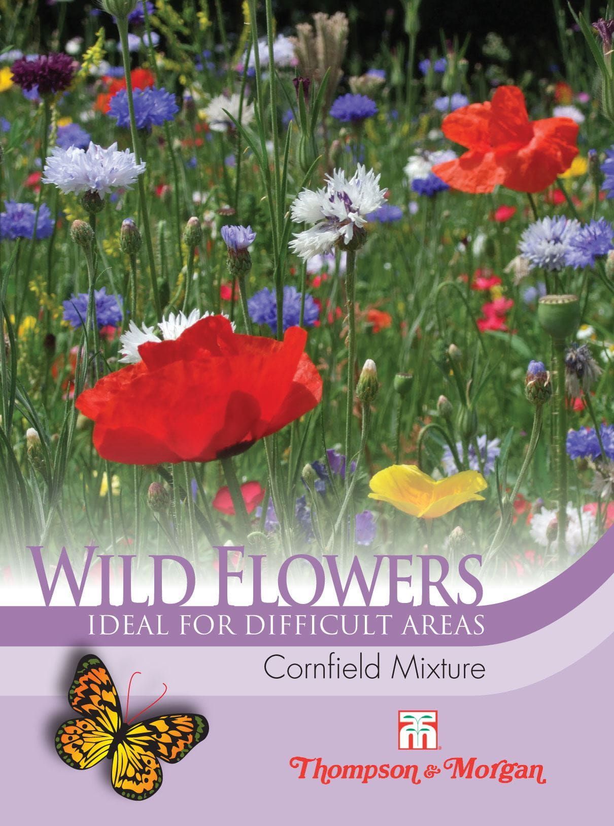 Thompson & Wild Flower Cornfield Mix Seed JustSeed
