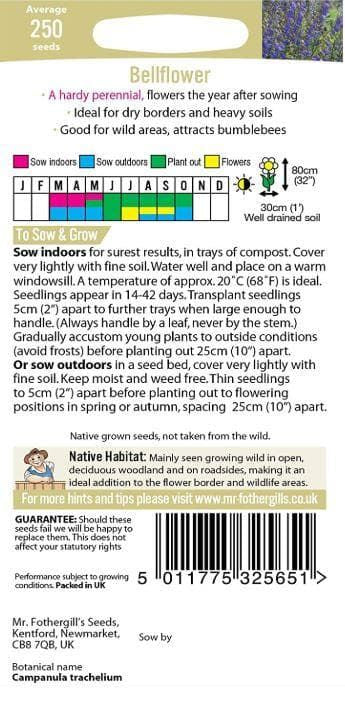 Mr Fothergills - Wild Flower - Bellflower - 250 Seeds