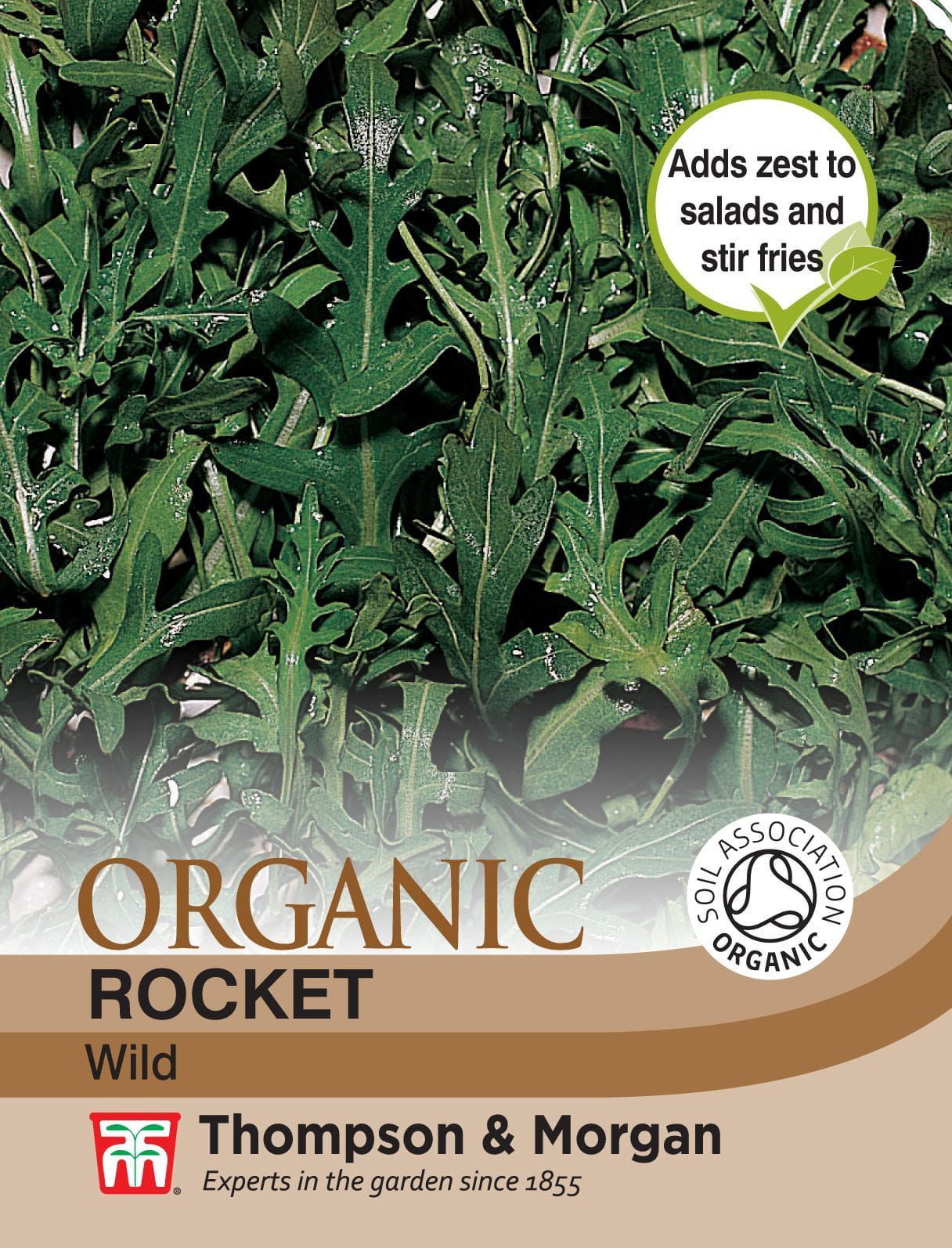 Thompson & Morgan - Organic - Herb - Rocket Wild - 450 Seeds