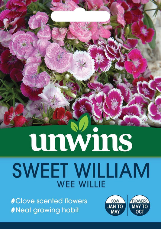 Unwins Sweet William Wee Willie 500 Seeds